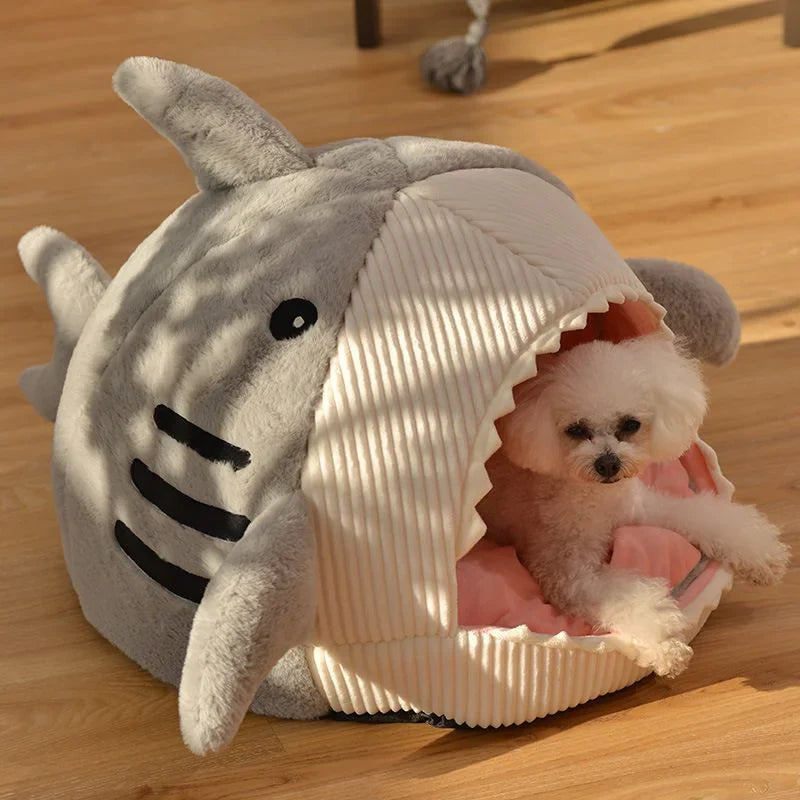 SharkCloud